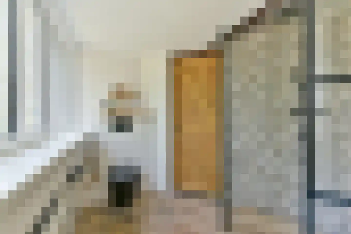 Leedijkerhout 13 Houten thumbnail 40