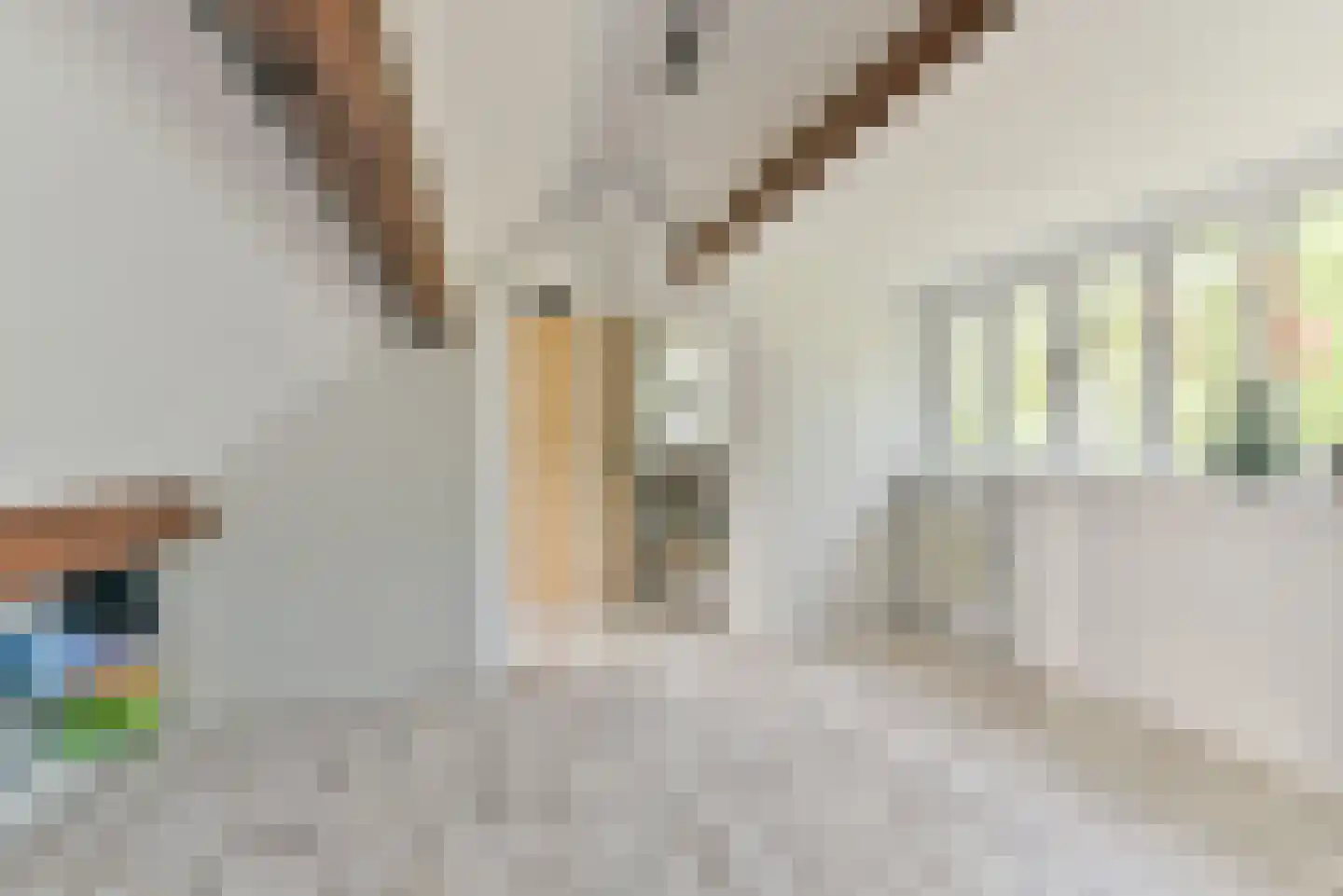 Leedijkerhout 13 Houten thumbnail 45