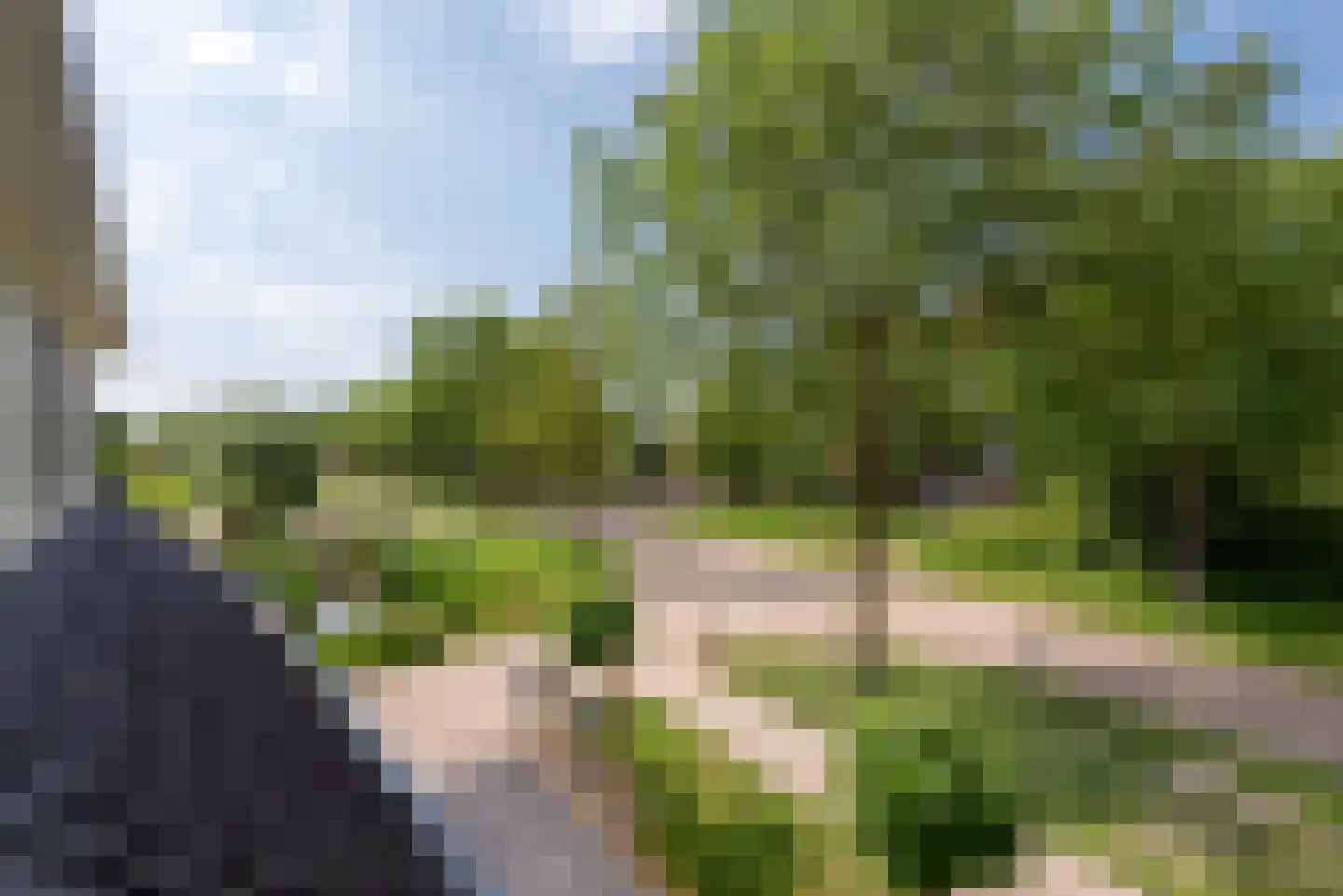 Leedijkerhout 13 Houten thumbnail 46