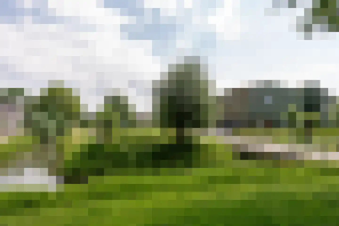 Leedijkerhout 13 Houten thumbnail 49