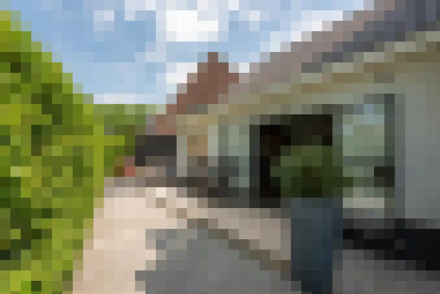 Leedijkerhout 13 Houten thumbnail 52