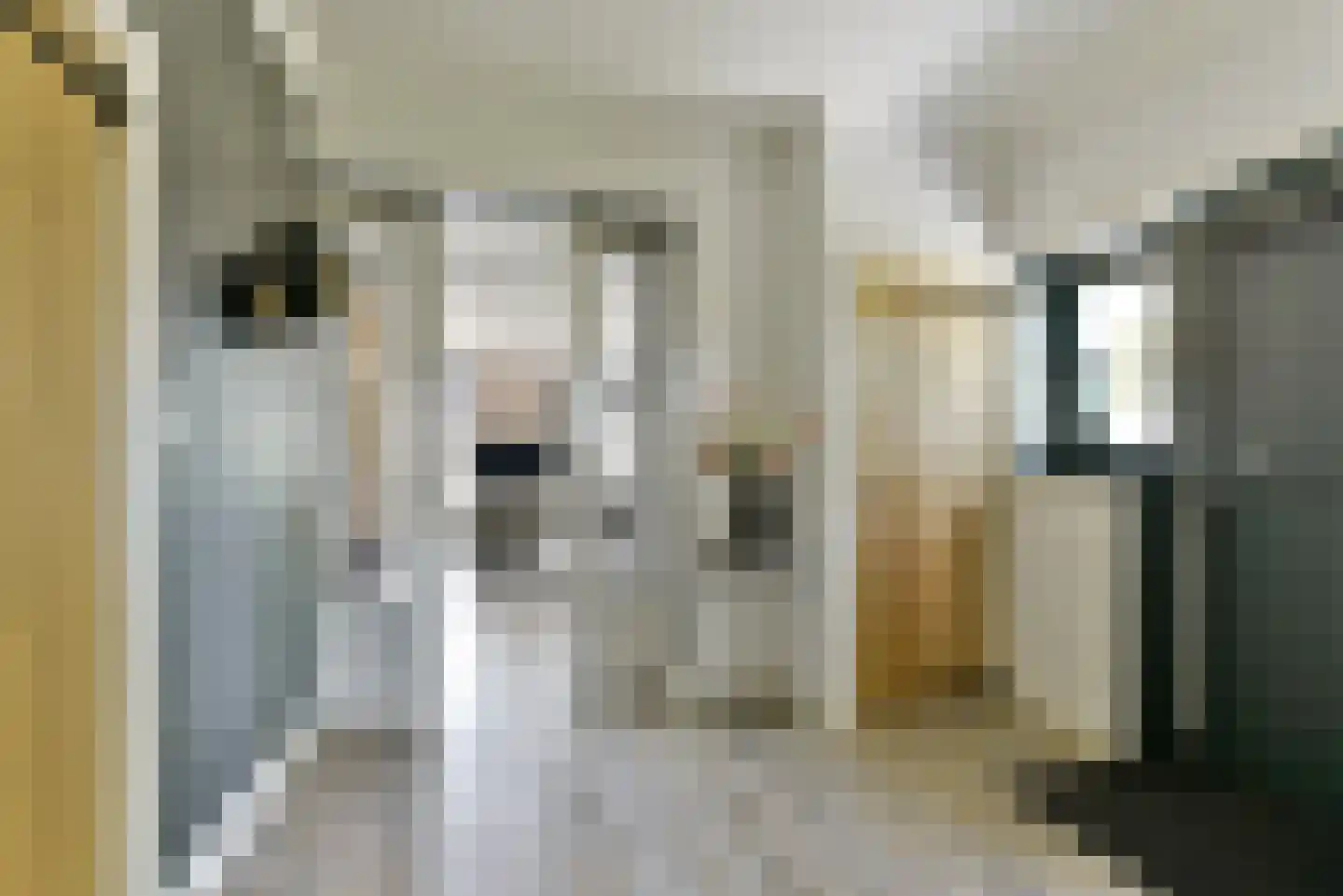Leedijkerhout 13 Houten thumbnail 6