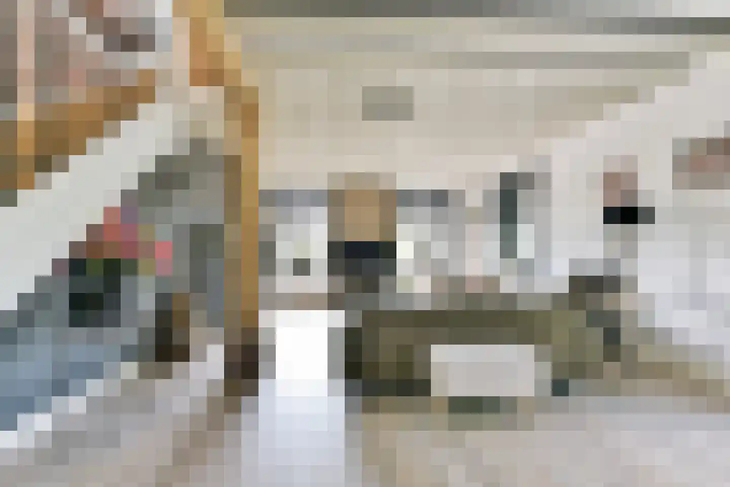 Leedijkerhout 13 Houten thumbnail 9