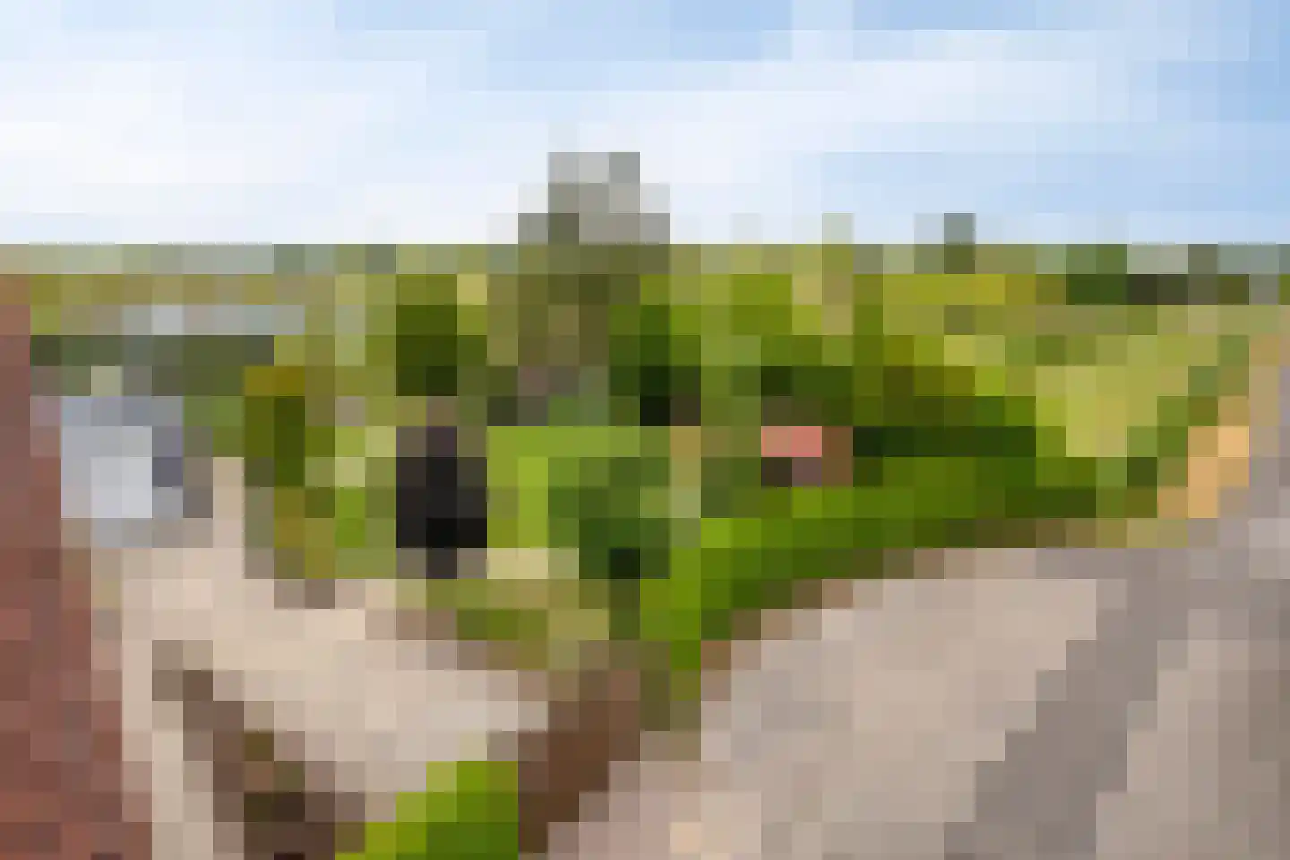 Leedjes 2 Driel thumbnail 42