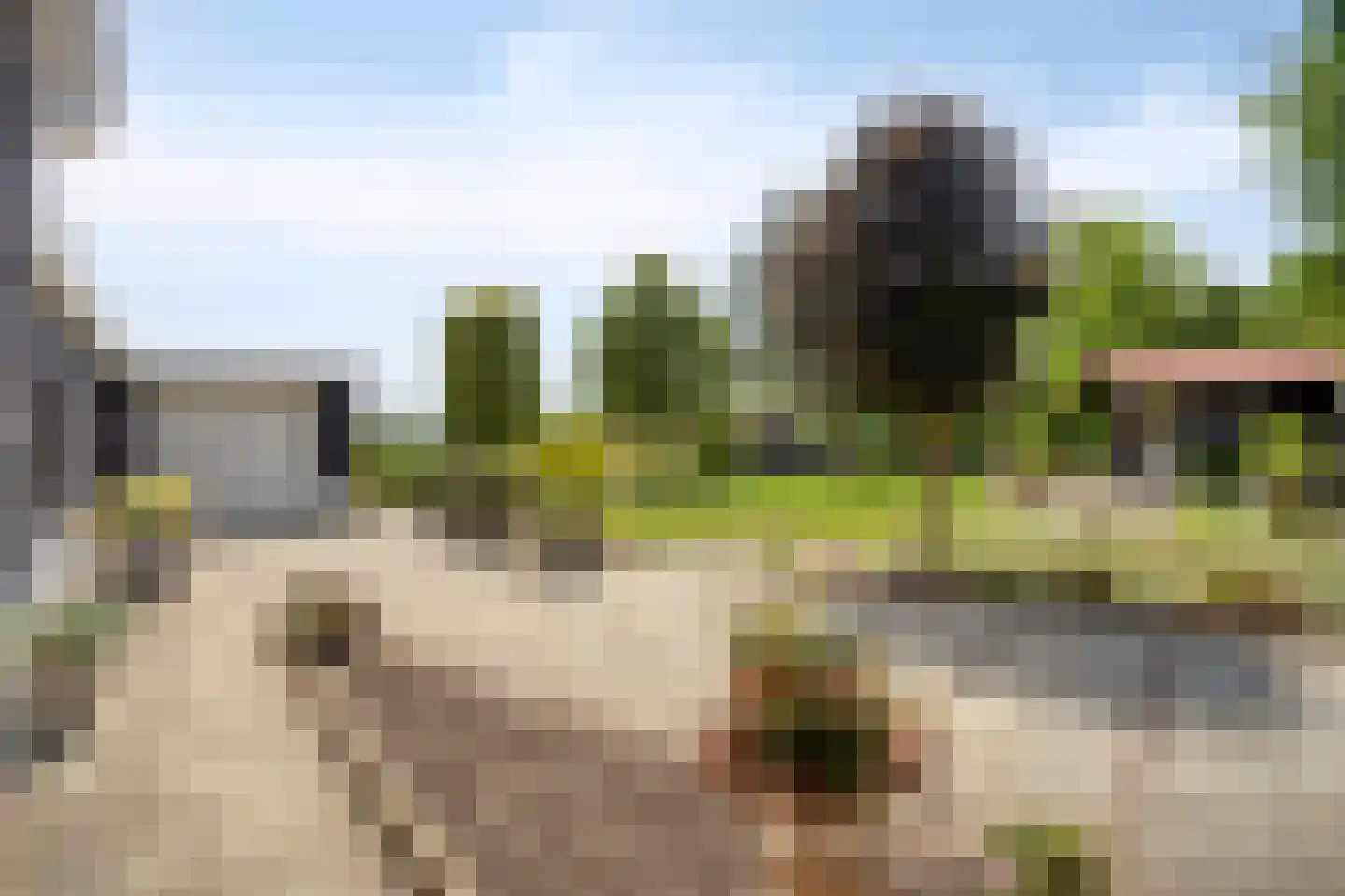 Leedjes 2 Driel thumbnail 45