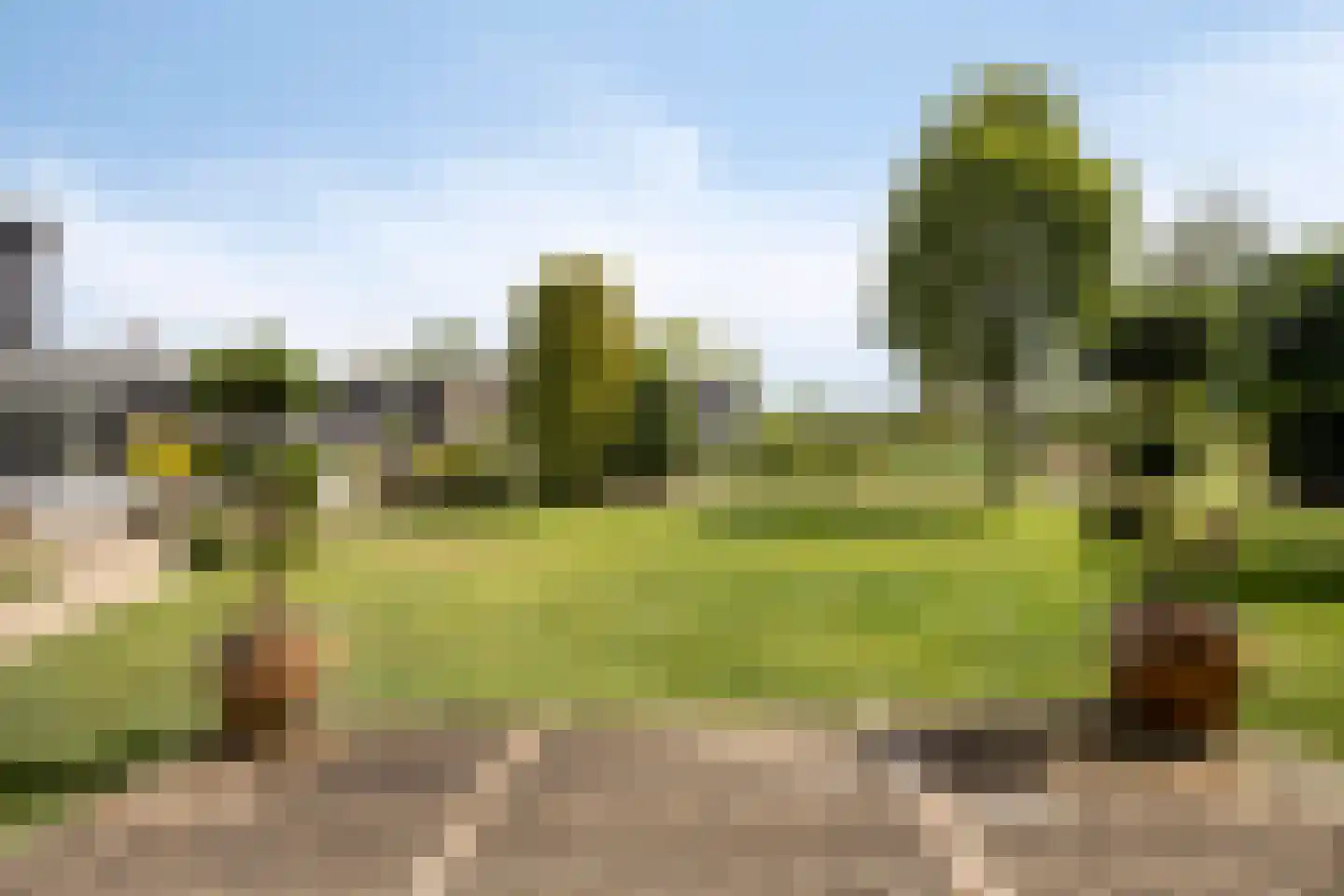 Leedjes 2 Driel thumbnail 48