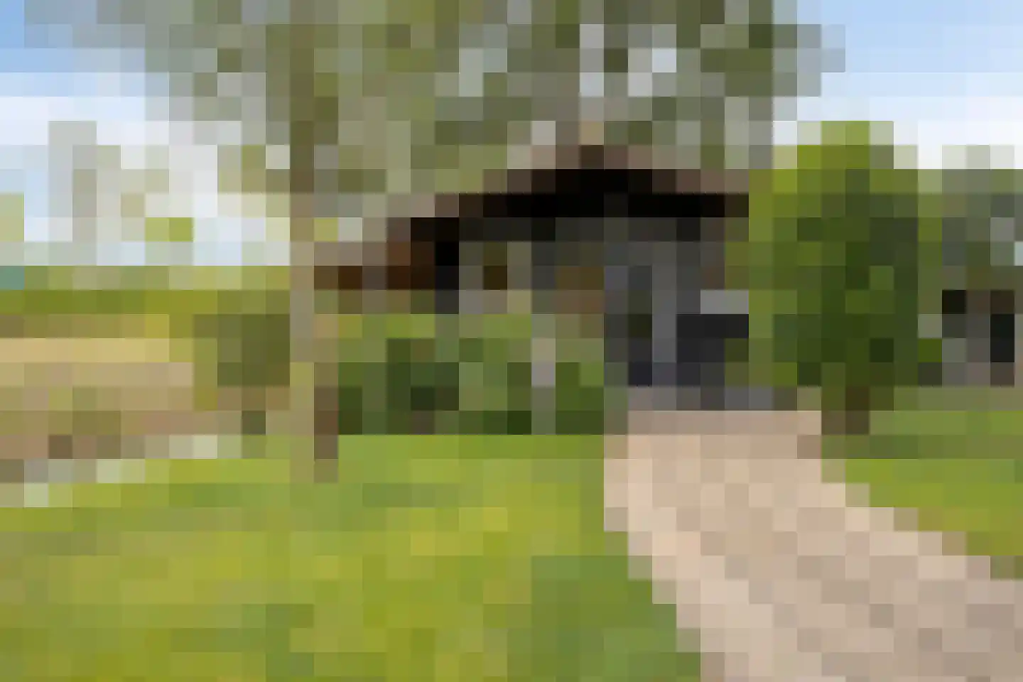 Leedjes 2 Driel thumbnail 51