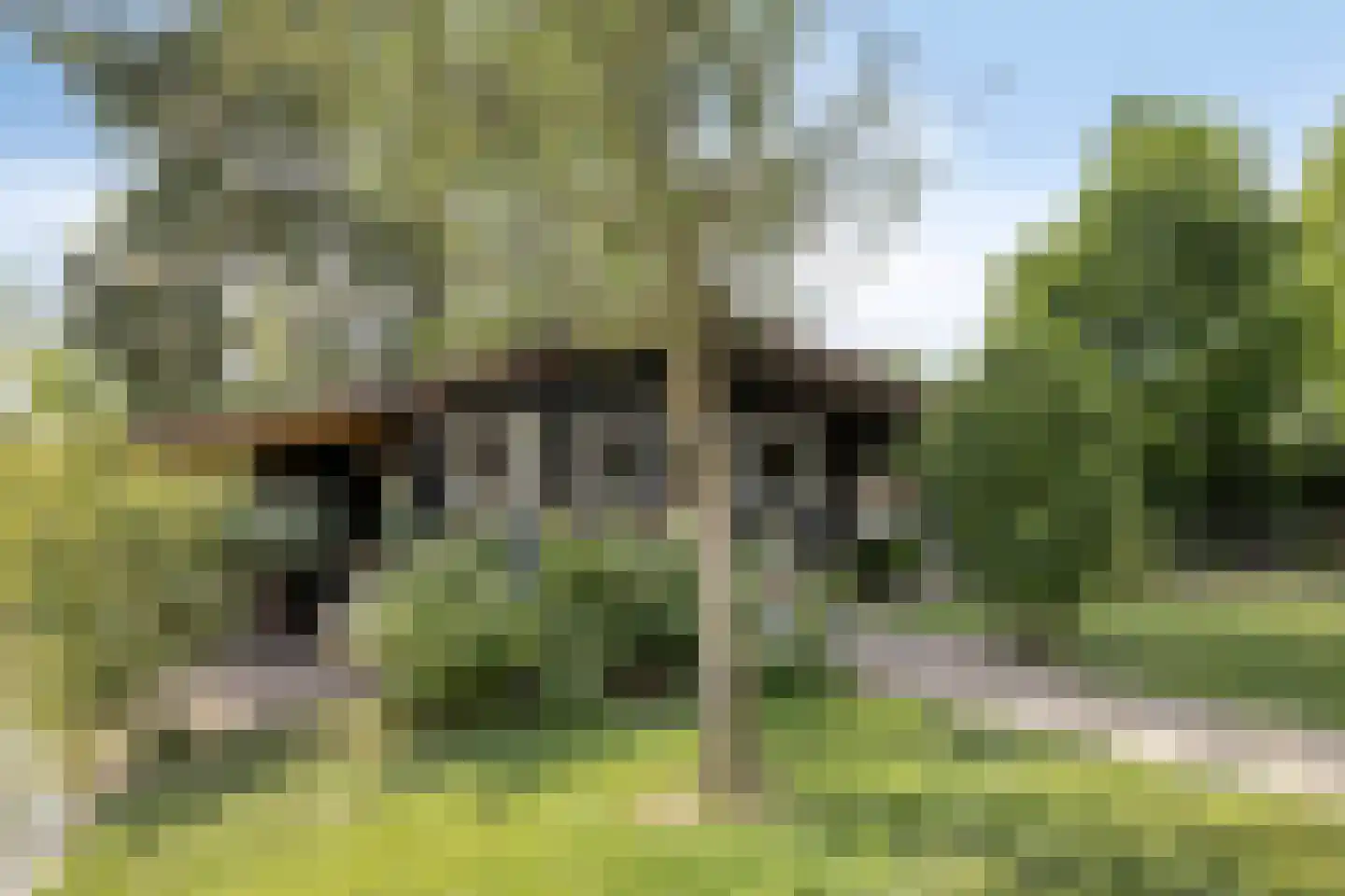 Leedjes 2 Driel thumbnail 52