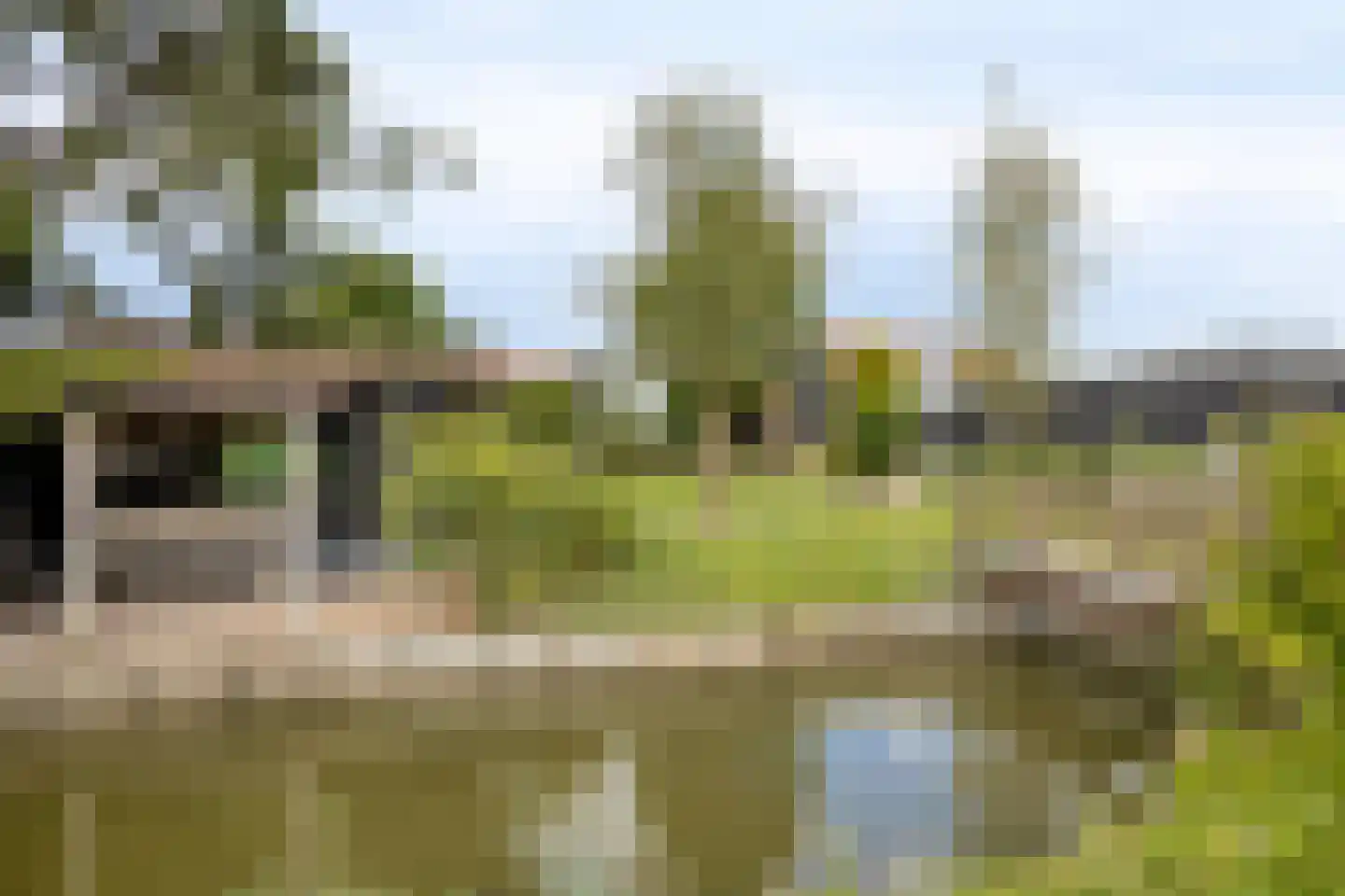 Leedjes 2 Driel thumbnail 54