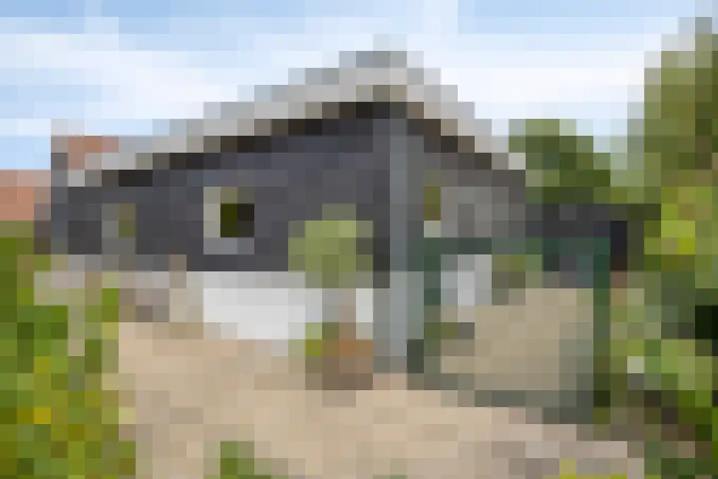 Leedjes 2 Driel thumbnail 57