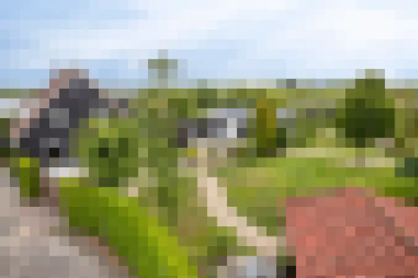 Leedjes 2 Driel thumbnail 58
