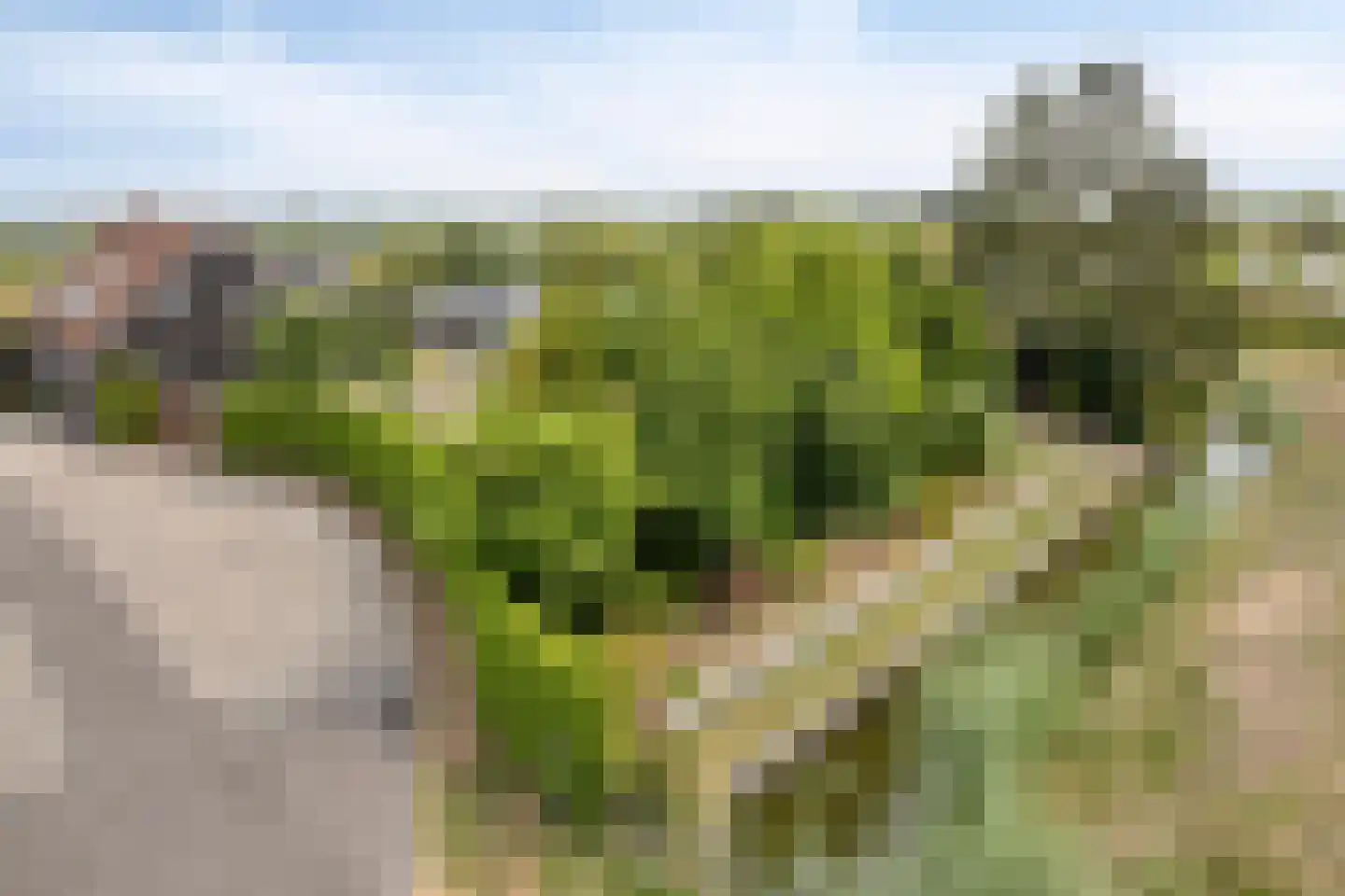 Leedjes 2 Driel thumbnail 59