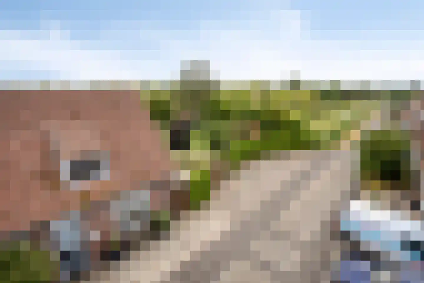 Leedjes 2 Driel thumbnail 7