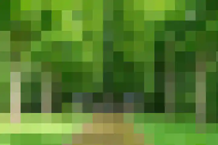 Leeferdinklaan 4 Winterswijk Ratum thumbnail 103