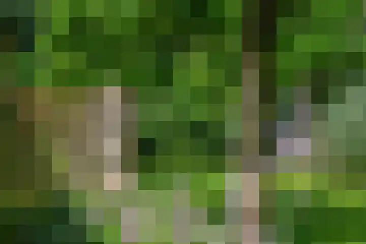 Leeferdinklaan 4 Winterswijk Ratum thumbnail 106