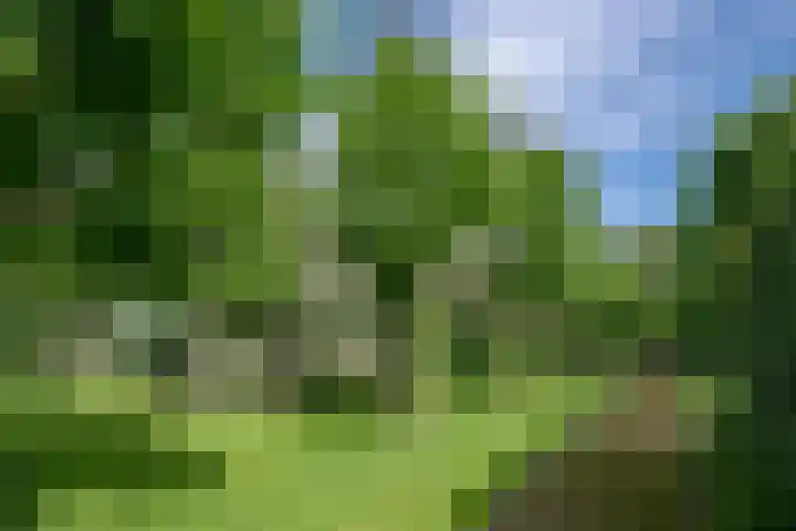 Leeferdinklaan 4 Winterswijk Ratum thumbnail 107