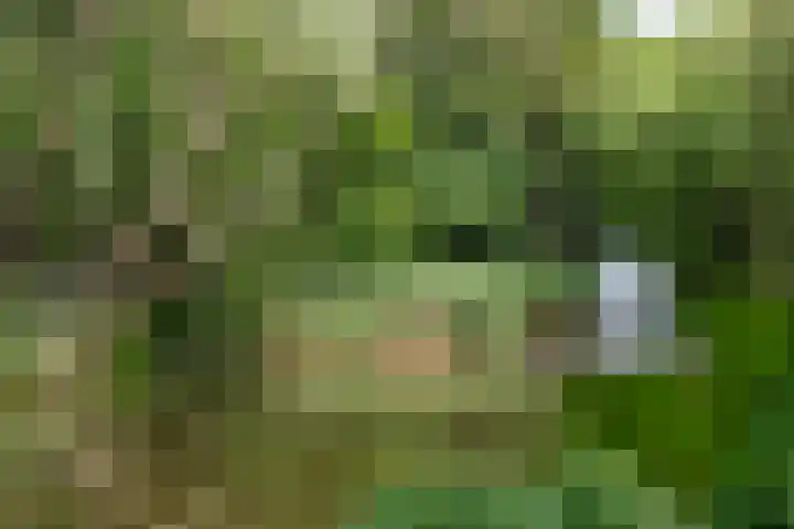 Leeferdinklaan 4 Winterswijk Ratum thumbnail 108