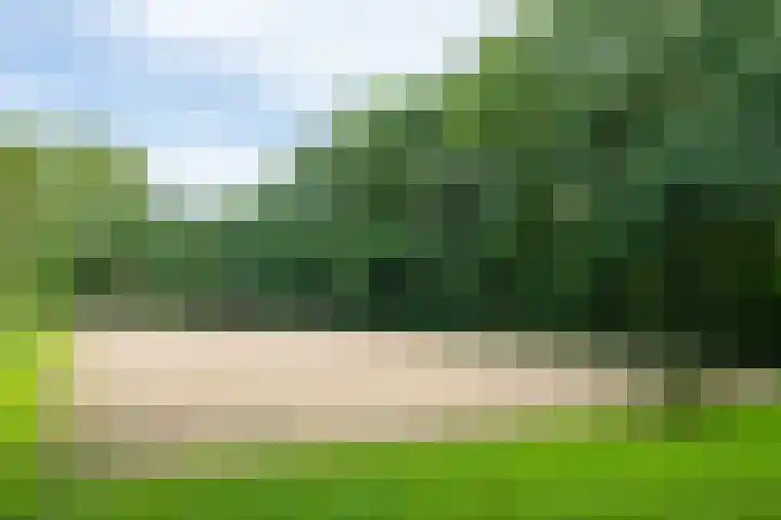 Leeferdinklaan 4 Winterswijk Ratum thumbnail 121