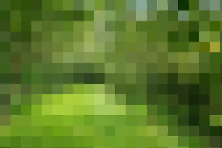Leeferdinklaan 4 Winterswijk Ratum thumbnail 122
