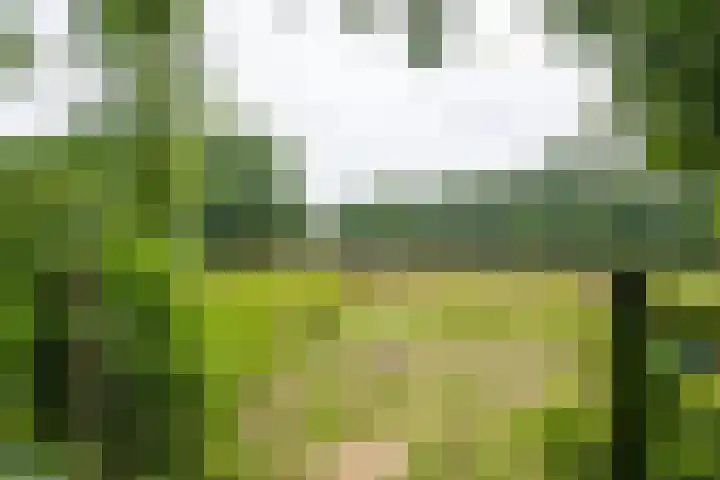 Leeferdinklaan 4 Winterswijk Ratum thumbnail 126