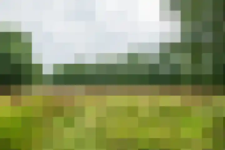 Leeferdinklaan 4 Winterswijk Ratum thumbnail 127