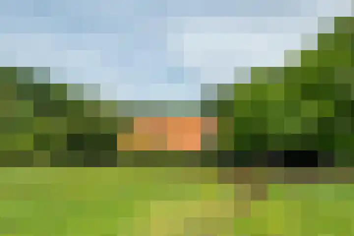 Leeferdinklaan 4 Winterswijk Ratum thumbnail 128