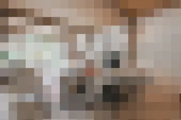 Leeferdinklaan 4 Winterswijk Ratum thumbnail 129