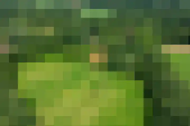 Leeferdinklaan 4 Winterswijk Ratum thumbnail 13