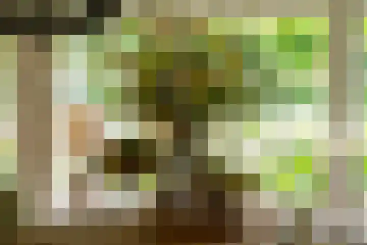 Leeferdinklaan 4 Winterswijk Ratum thumbnail 142