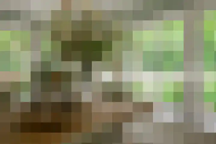 Leeferdinklaan 4 Winterswijk Ratum thumbnail 143