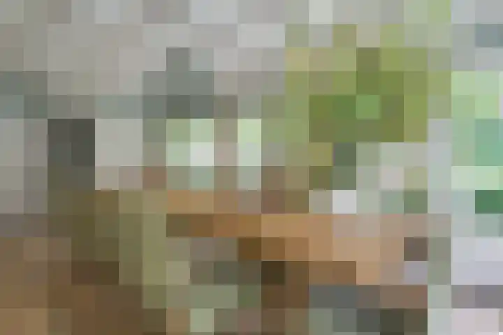 Leeferdinklaan 4 Winterswijk Ratum thumbnail 144
