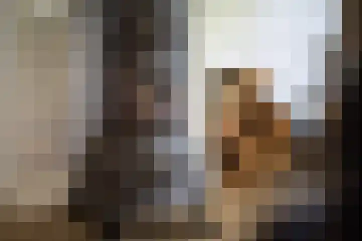 Leeferdinklaan 4 Winterswijk Ratum thumbnail 147