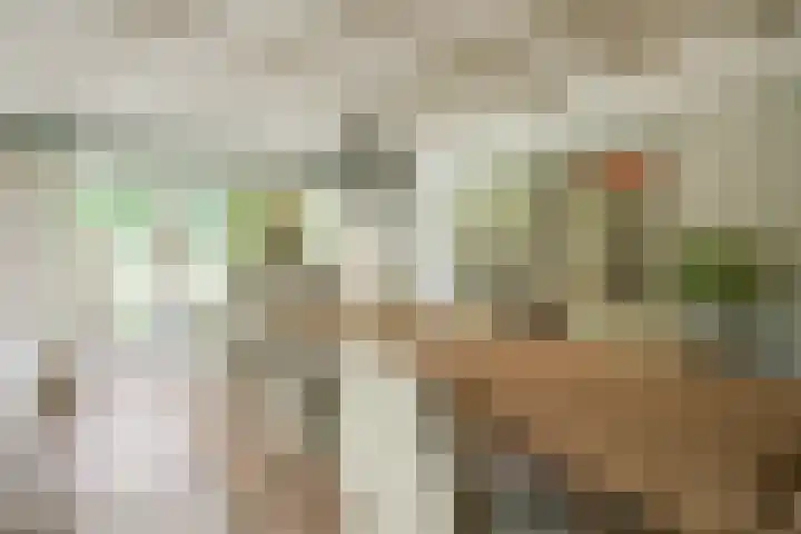 Leeferdinklaan 4 Winterswijk Ratum thumbnail 148