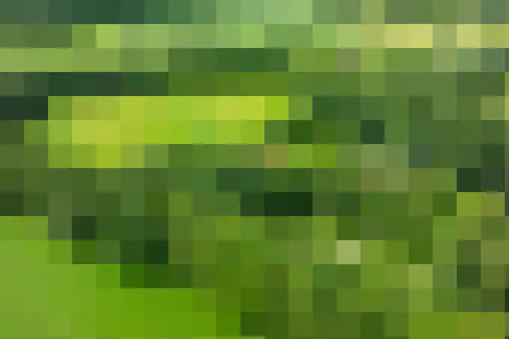 Leeferdinklaan 4 Winterswijk Ratum thumbnail 16