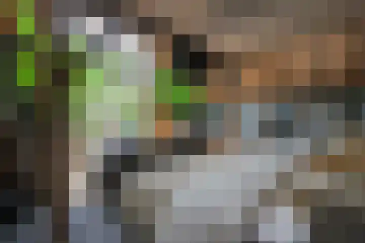 Leeferdinklaan 4 Winterswijk Ratum thumbnail 176