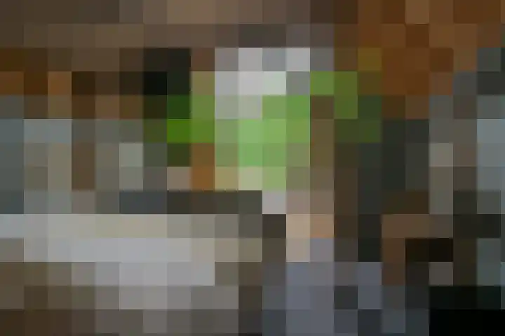 Leeferdinklaan 4 Winterswijk Ratum thumbnail 177