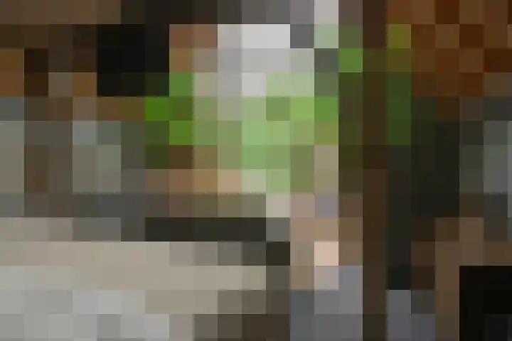 Leeferdinklaan 4 Winterswijk Ratum thumbnail 178