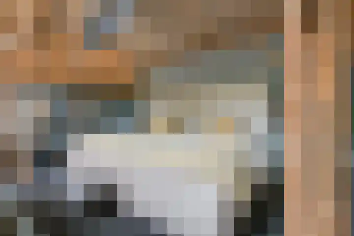 Leeferdinklaan 4 Winterswijk Ratum thumbnail 183