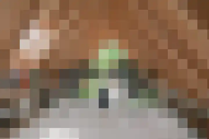 Leeferdinklaan 4 Winterswijk Ratum thumbnail 185