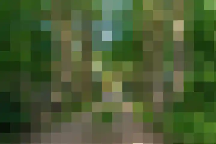 Leeferdinklaan 4 Winterswijk Ratum thumbnail 21