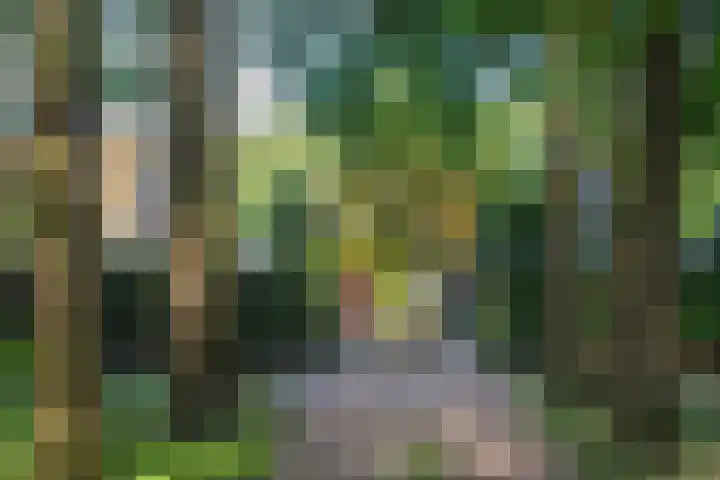 Leeferdinklaan 4 Winterswijk Ratum thumbnail 22