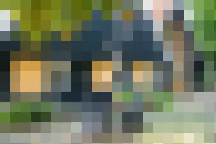 Leeferdinklaan 4 Winterswijk Ratum thumbnail 27
