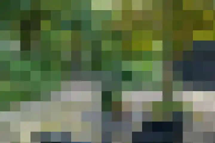 Leeferdinklaan 4 Winterswijk Ratum thumbnail 35