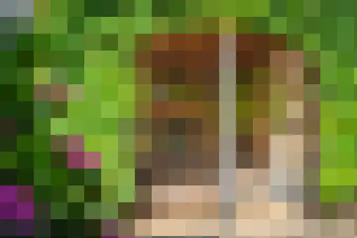 Leeferdinklaan 4 Winterswijk Ratum thumbnail 39