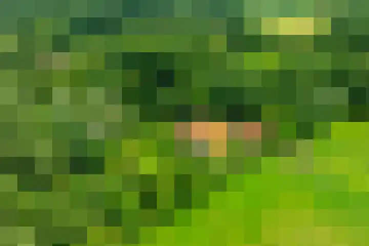 Leeferdinklaan 4 Winterswijk Ratum thumbnail 4