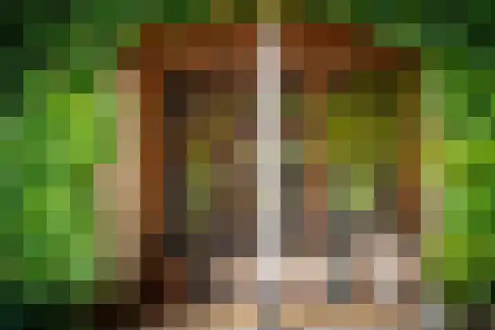 Leeferdinklaan 4 Winterswijk Ratum thumbnail 40