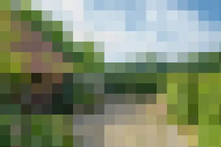 Leeferdinklaan 4 Winterswijk Ratum thumbnail 41