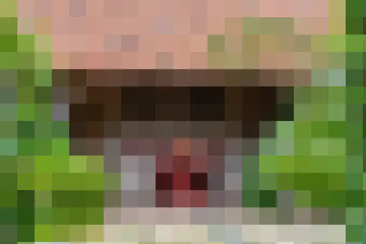 Leeferdinklaan 4 Winterswijk Ratum thumbnail 42