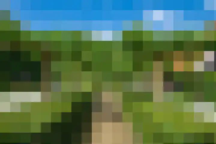 Leeferdinklaan 4 Winterswijk Ratum thumbnail 47