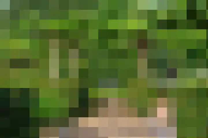 Leeferdinklaan 4 Winterswijk Ratum thumbnail 48